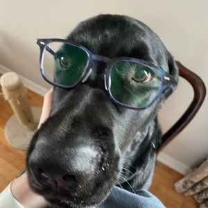 Meet your Posher, Leanne